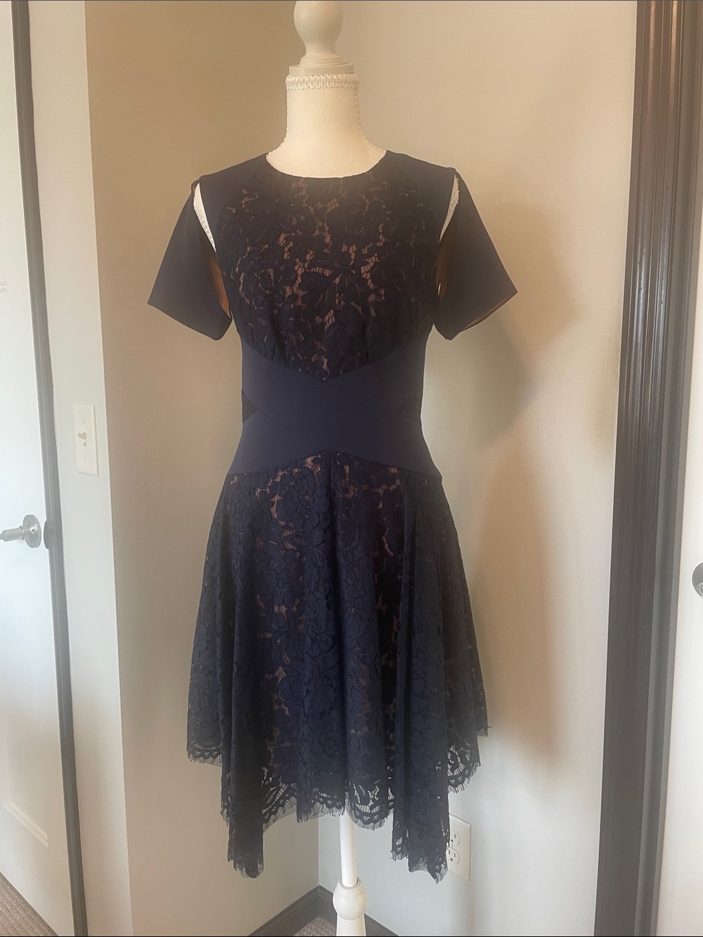 The Limited Navy Blue Lace Fit-and-Flare Midi Dress